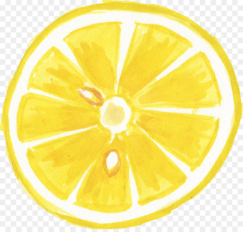 Lemon Transparent Watercolor Watercolor painting - lemon Lemon Transparent Watercolor Watercolor painting - lemon