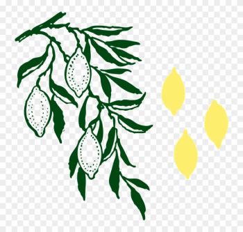 Lemon Tree Clipart - Custom Lemon Tree Shower Curtain Lemon Tree Clipart - Custom Lemon Tree Shower Curtain