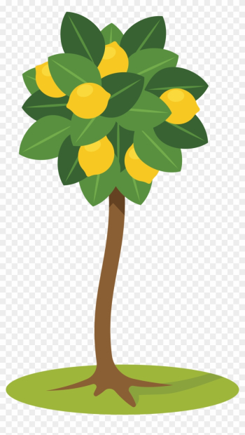 Lemon Tree Clipart - Lemon Tree Clipart Lemon Tree Clipart - Lemon Tree Clipart