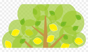 Lemon Tree Clipart - Lemon Tree Clipart Lemon Tree Clipart - Lemon Tree Clipart