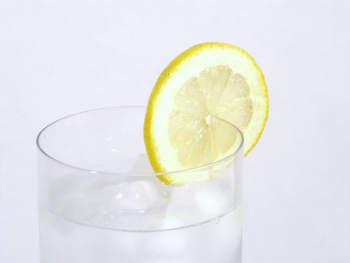 lemon0012.jpg lemon0012.jpg