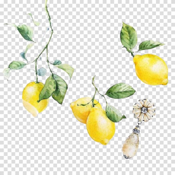 Lemonade fruit clip-ar t, Visual arts Lemon Watercolor painting Illustration, FIG watercolor painted lemon material transparent background PNG clipart