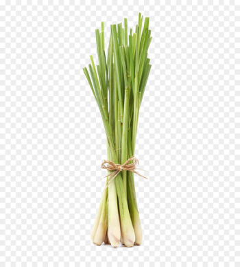 Lemongrass Asian cuisine Herb Flavor - Lemon Grass Free Download 