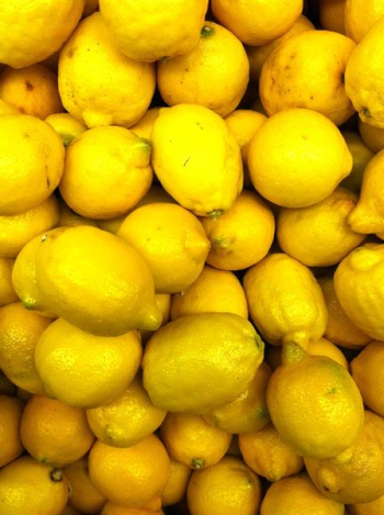 lemons MGD©.JPG lemons MGD©.JPG