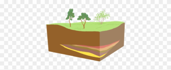 Lens Type Orebody - Tree Lens Type Orebody - Tree