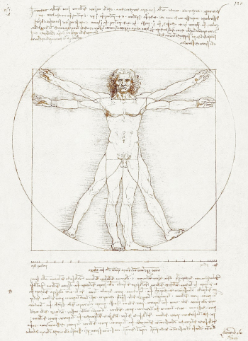 Leonardo da Vinci's Vitruvian Man | Free Photo Illustration - rawpixel Leonardo da Vinci's Vitruvian Man | Free Photo Illustration - rawpixel