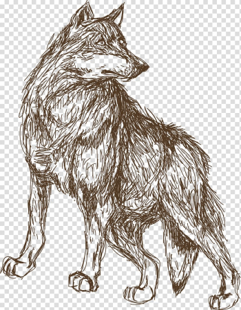 Leopard Animal Croquis Illustration, Animal Wolf sketch transparent background PNG clipart