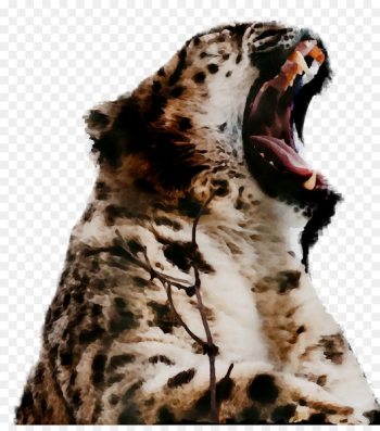 Leopard, Jaguar, Cheetah, Terrestrial Animal, Wildlife PNG Leopard, Jaguar, Cheetah, Terrestrial Animal, Wildlife PNG