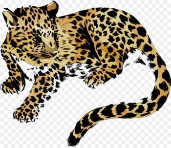 Leopard Jaguar Cheetah Tiger Pattern - Leopard Jaguar Cheetah Tiger Pattern -