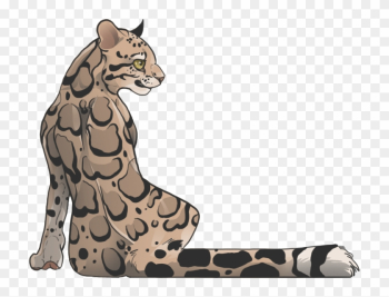 Leopard Seal Clipart Deviantart - Clouded Leopard Drawing Leopard Seal Clipart Deviantart - Clouded Leopard Drawing