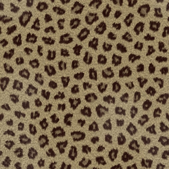 Leopard skin texture Leopard skin texture