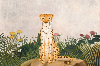 Leopard wildlife background, drawing design | Free Photo - rawpixel Leopard wildlife background, drawing design | Free Photo - rawpixel