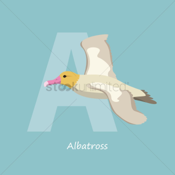 Letter a for albatross