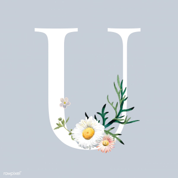 Letter U with blossoms | Free stock vector - 544972 Letter U with blossoms | Free stock vector - 544972