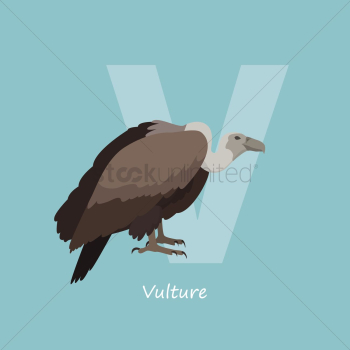 Letter v for vulture Letter v for vulture
