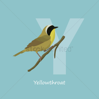 Letter y for yellow throat Letter y for yellow throat