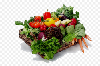 Lettuce Vegetarian cuisine Salad Recipe Food - Lettuce Vegetarian cuisine Salad Recipe Food -
