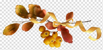 Light Autumn Auglis Acorn, acorn transparent background PNG clipart Light Autumn Auglis Acorn, acorn transparent background PNG clipart