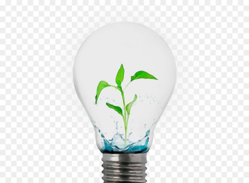 Light bulb Light bulb