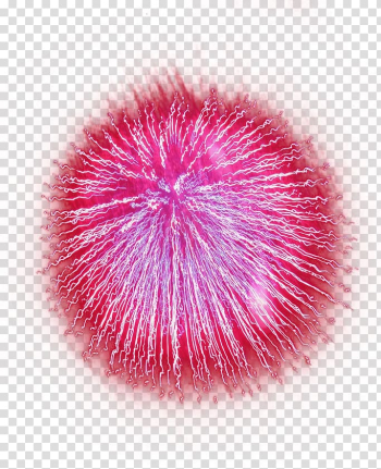 Light Fireworks, Big pink fireworks transparent background PNG clipart Light Fireworks, Big pink fireworks transparent background PNG clipart