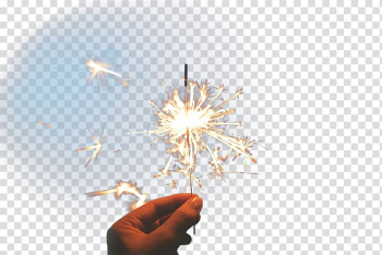 Light Fireworks , Brilliant fireworks transparent background PNG clipart Light Fireworks , Brilliant fireworks transparent background PNG clipart