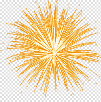 Light Fireworks , Fireworks transparent background PNG clipart Light Fireworks , Fireworks transparent background PNG clipart