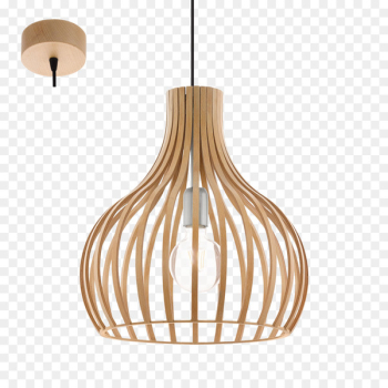 Light fixture Pendant light EGLO Incandescent light bulb - light 