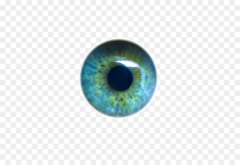 Light Human eye Iris Pupil - eyes Light Human eye Iris Pupil - eyes