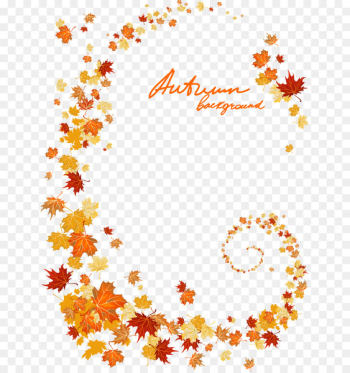 Light Maple leaf Autumn Maple leaf - Autumn leaves Light Maple leaf Autumn Maple leaf - Autumn leaves