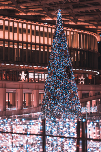 Lightened Christmas Tree Indoors