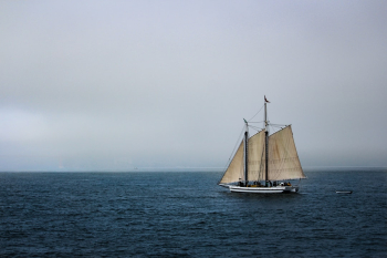 Like Ships Like Ships