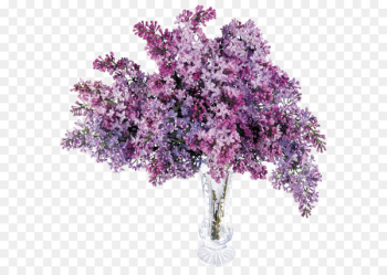 Lilac Computer file - Transparent Vase with Lilac PNG Picture 