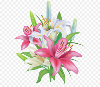 Lilium 'Stargazer' Flower Clip art - Lilies Flowers Decoration PNG Clipart Image 