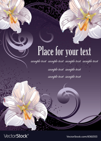 Lily Design with Text Space vector image Lily Design with Text Space vector image