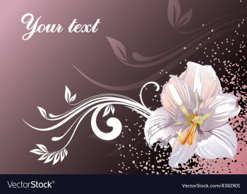 Lily Design with Text Space vector image Lily Design with Text Space vector image
