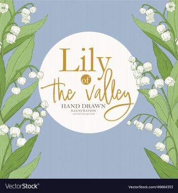 lily of the valley border coll