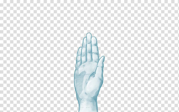 Limb Finger Hand Shoulder Joint, white smoke transparent background PNG clipart