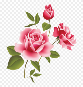 Lindas Flores Em Png E Hd - Pink Roses Clipart Lindas Flores Em Png E Hd - Pink Roses Clipart