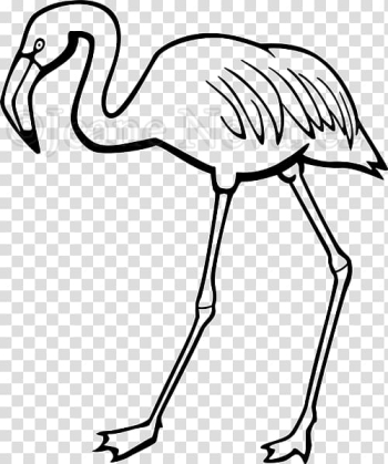 Line art Black and white , flamingos transparent background PNG clipart Line art Black and white , flamingos transparent background PNG clipart