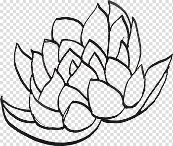 Line art Drawing , Line drawing lotus transparent background PNG clipart Line art Drawing , Line drawing lotus transparent background PNG clipart