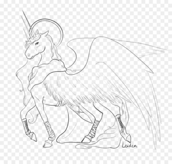 Line art Drawing Winged unicorn - hand drawn unicorn 