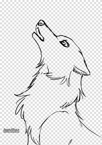 Line art Gray wolf Puppy Baby Wolves Drawing, based line drawing transparent background PNG clipart
