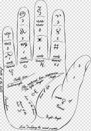 Line art Palmistry , hand palm transparent background PNG clipart Line art Palmistry , hand palm transparent background PNG clipart