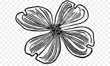 Line art Pattern - design 