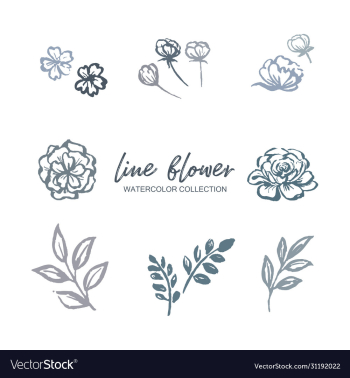 line flower watercolor design flower foliage