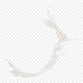 Line, Neck, White, Branch PNG Line, Neck, White, Branch PNG