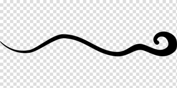 Line , Squiggle transparent background PNG clipart Line , Squiggle transparent background PNG clipart
