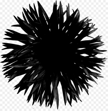 Line Symmetry Black M - Line Symmetry Black M -