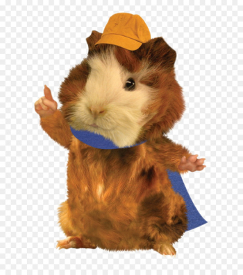 Linny The Guinea Pig Ming-Ming Duckling Nick Jr. Save the Wonder Pets! - wonder pets nick jr 
