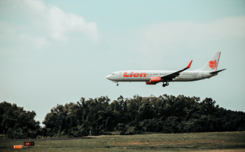 Lion Airliner Near Trees Lion Airliner Near Trees